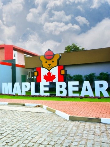 maple_bear